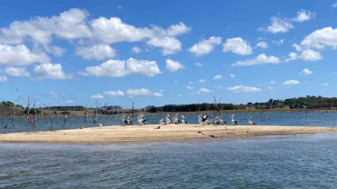 Tinaroo Falls Dam drops to 55 per cent capacity